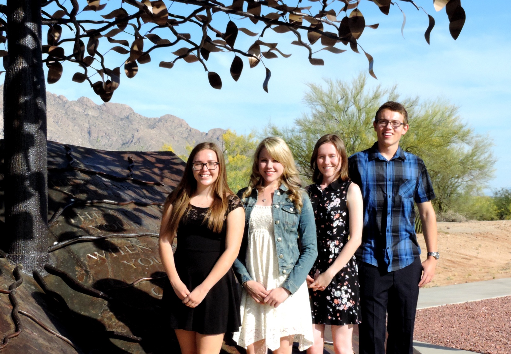 Friends of Oro Valley Public Library
